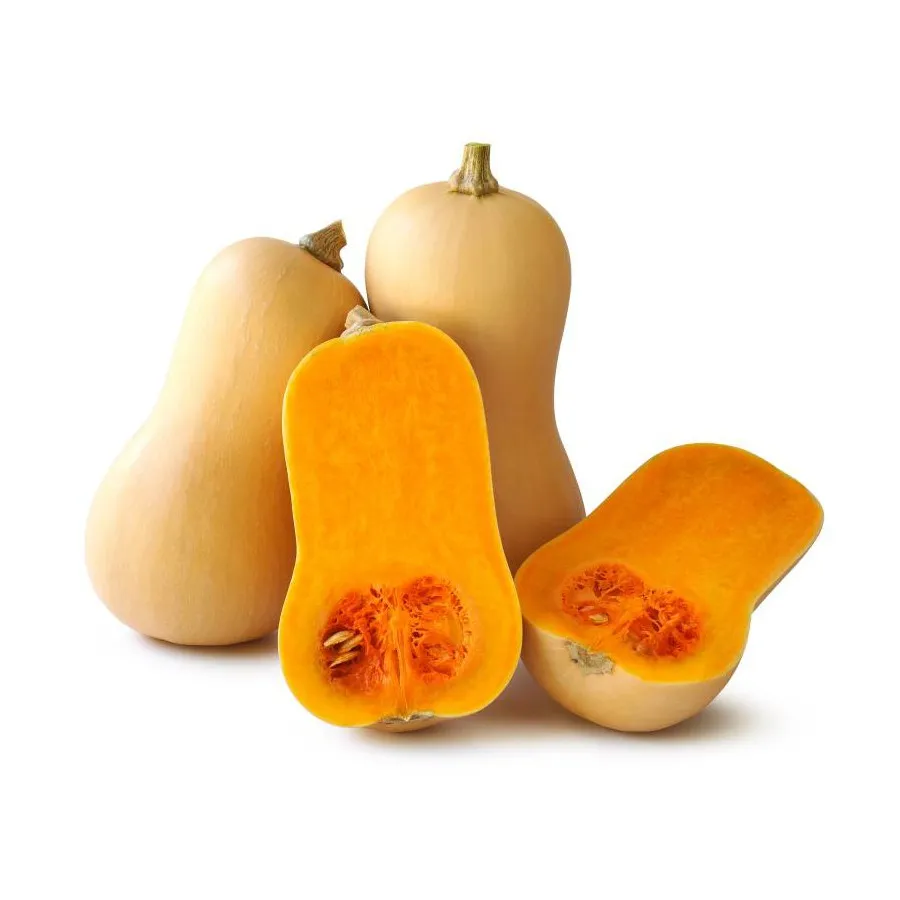 Anco calabaza