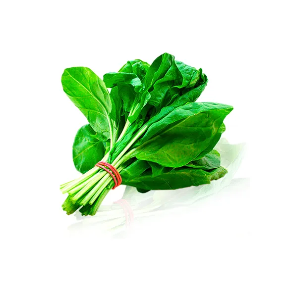 Espinaca
