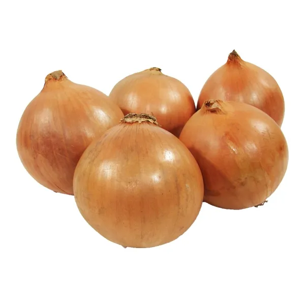 Cebolla blanca