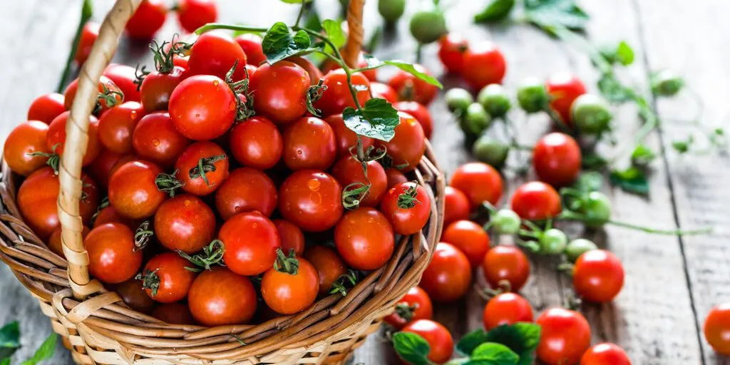Tomate Cherry