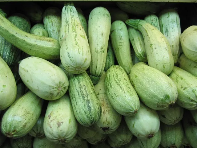 Zuchini